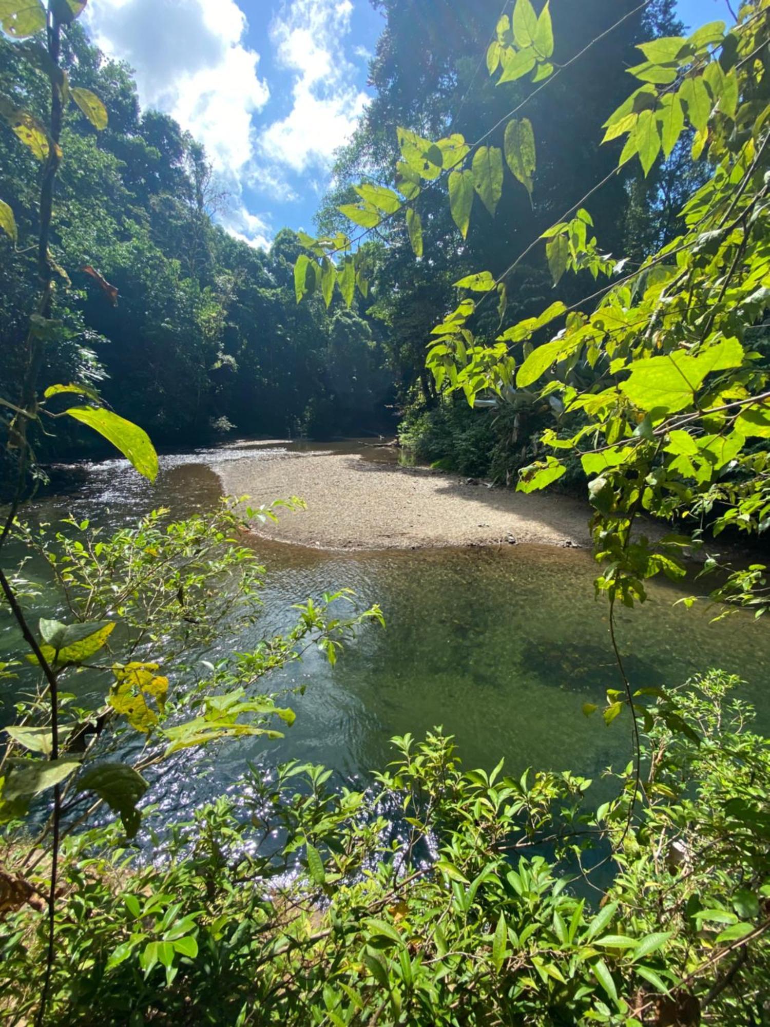Cabinas Corcovado Green Parrot, Los Planes Drake Drake Bay Exterior photo