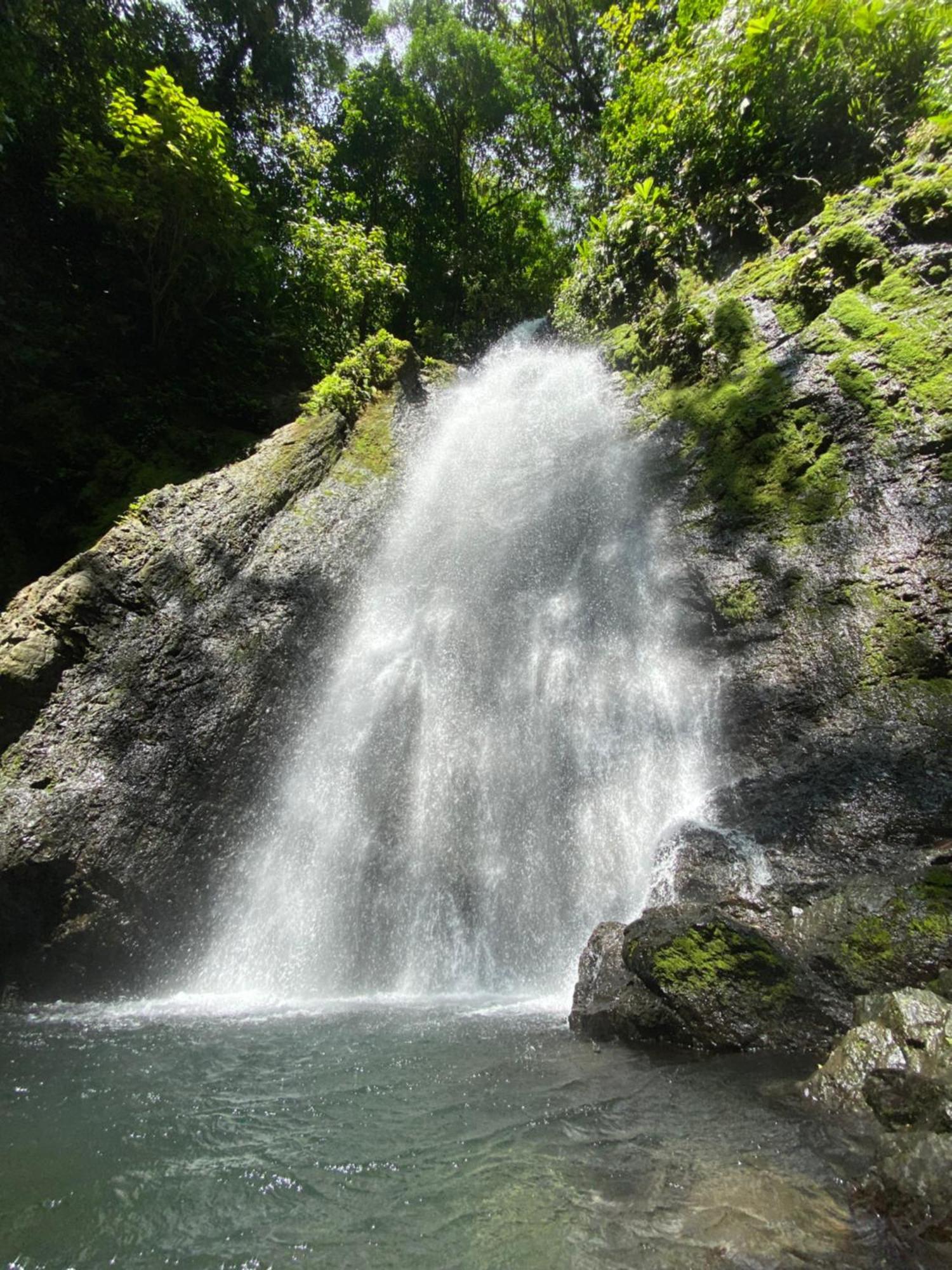 Cabinas Corcovado Green Parrot, Los Planes Drake Drake Bay Exterior photo