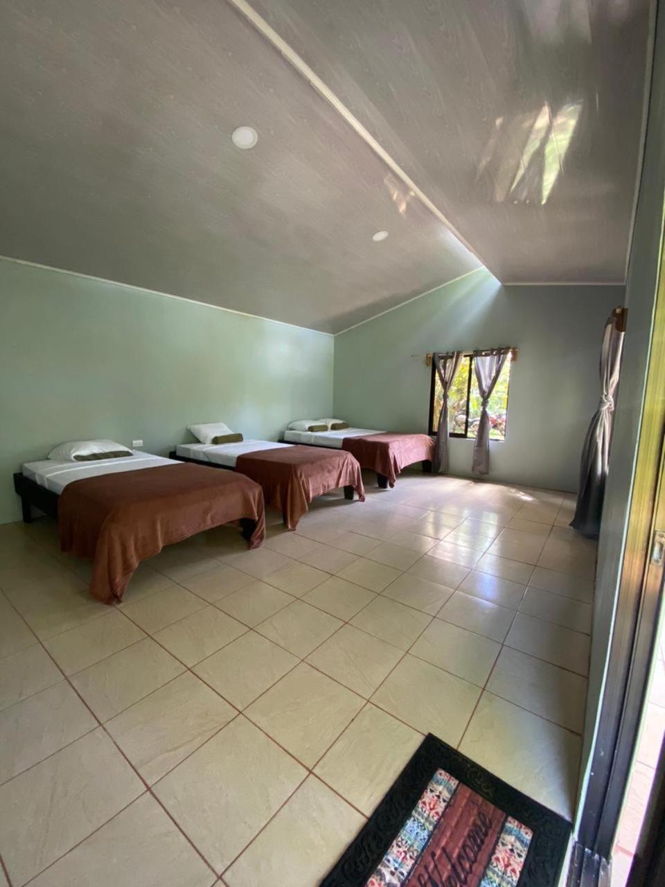 Cabinas Corcovado Green Parrot, Los Planes Drake Drake Bay Exterior photo