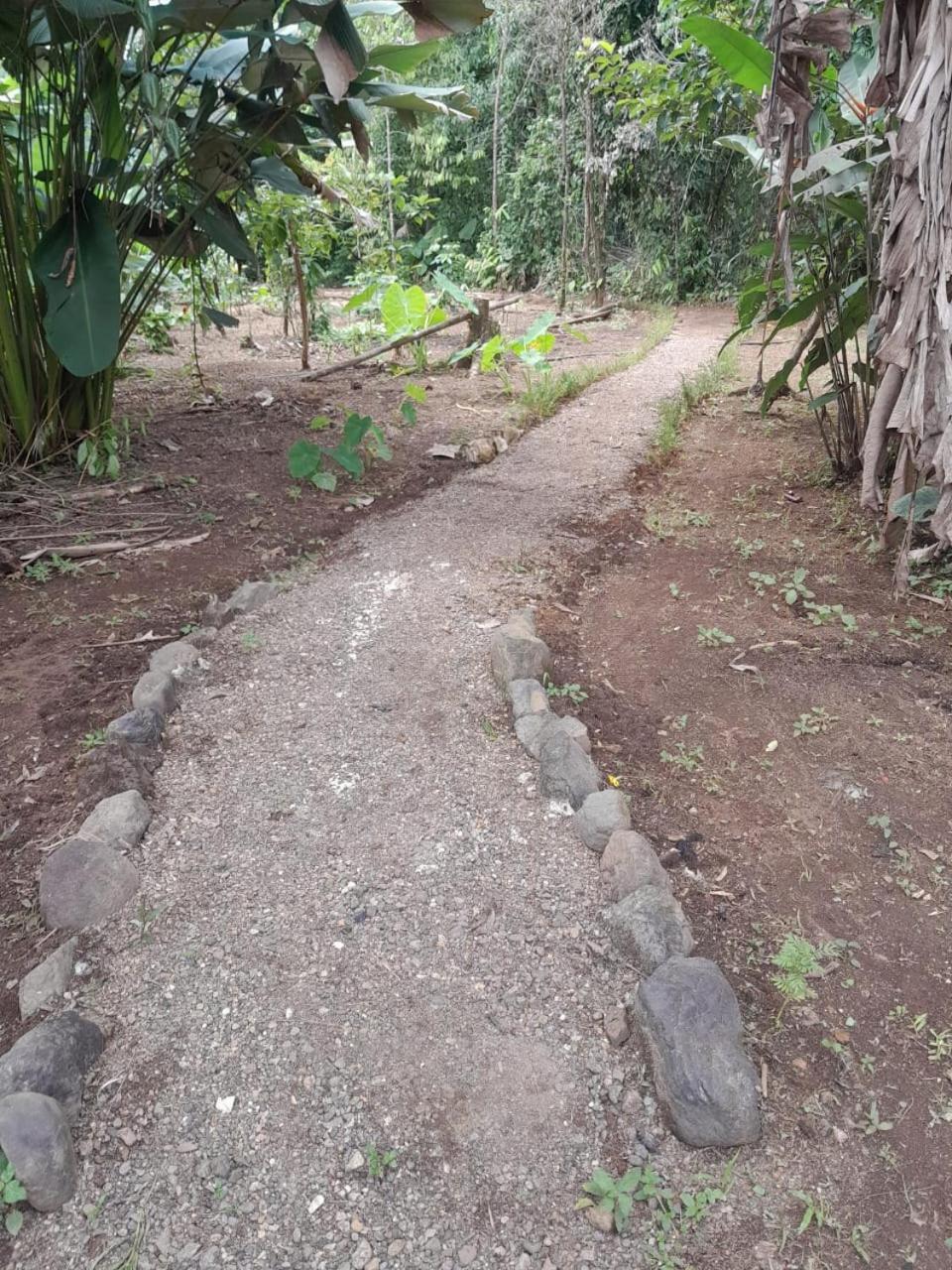 Cabinas Corcovado Green Parrot, Los Planes Drake Drake Bay Exterior photo