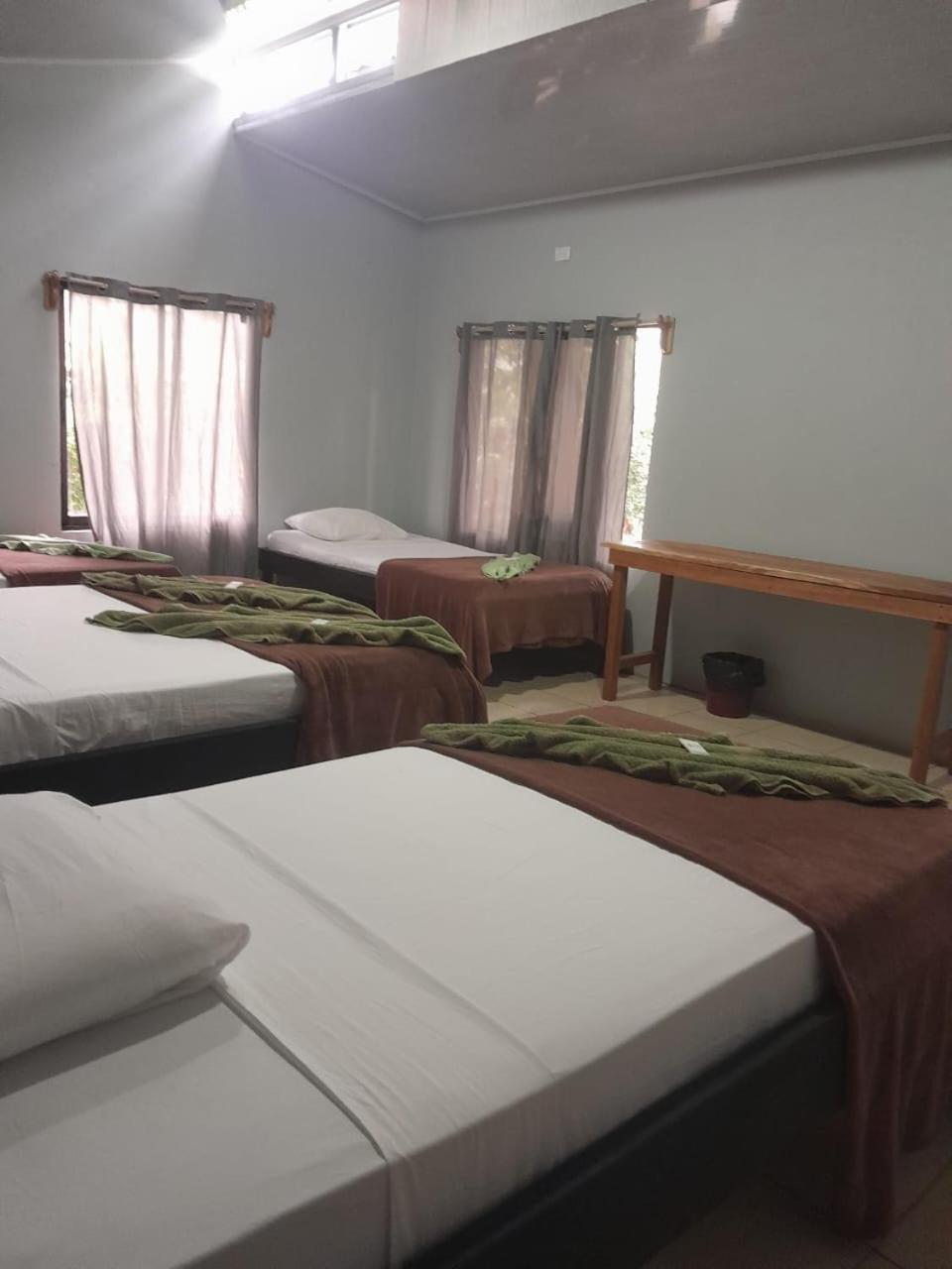 Cabinas Corcovado Green Parrot, Los Planes Drake Drake Bay Room photo