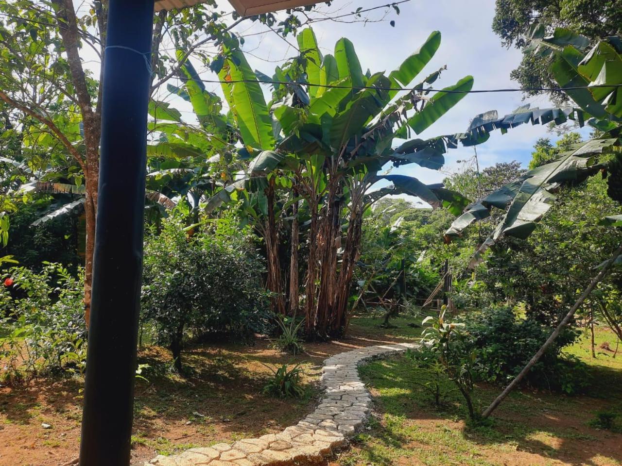 Cabinas Corcovado Green Parrot, Los Planes Drake Drake Bay Exterior photo